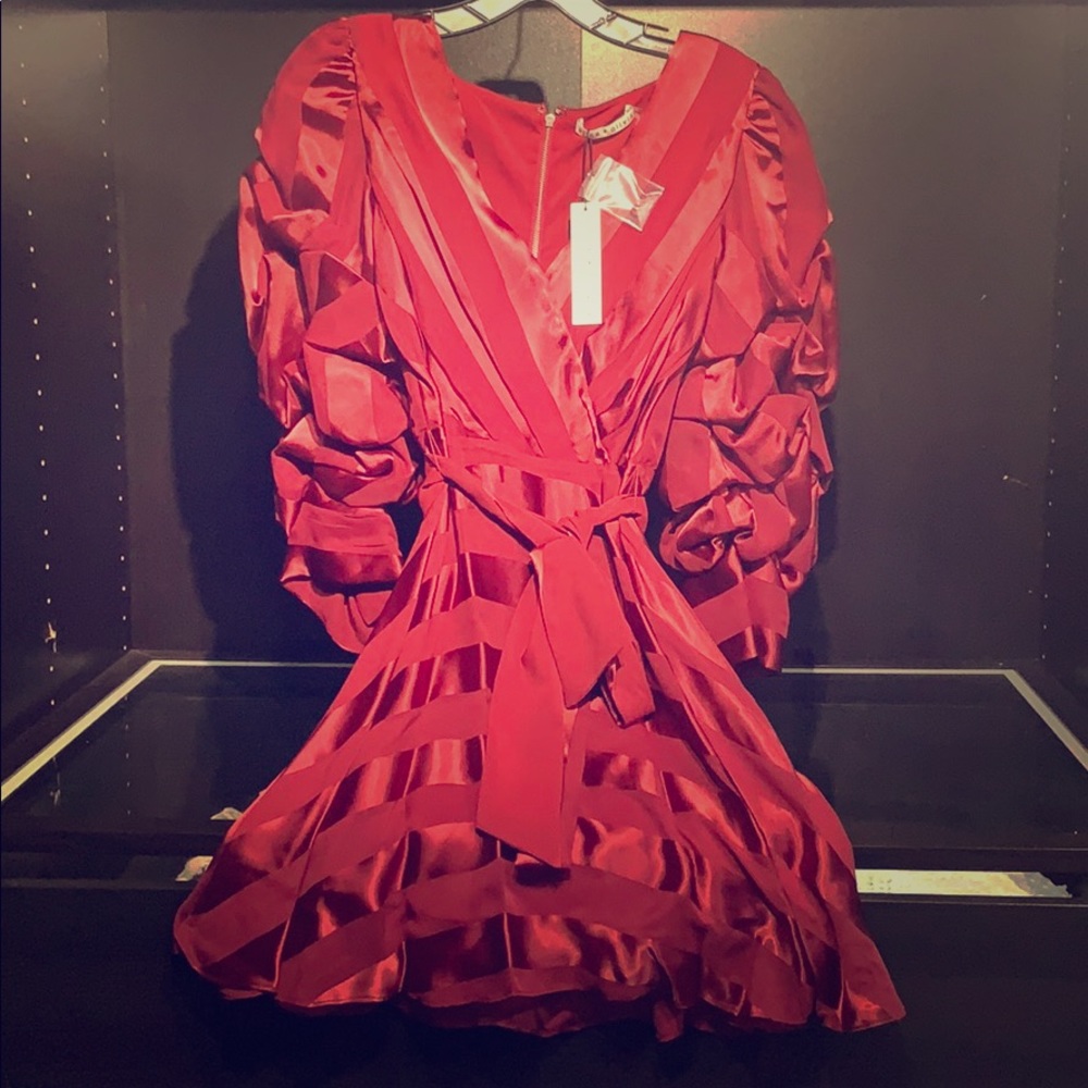 Alice + Olivia Santina Tuck Sleeve Shirt Dress